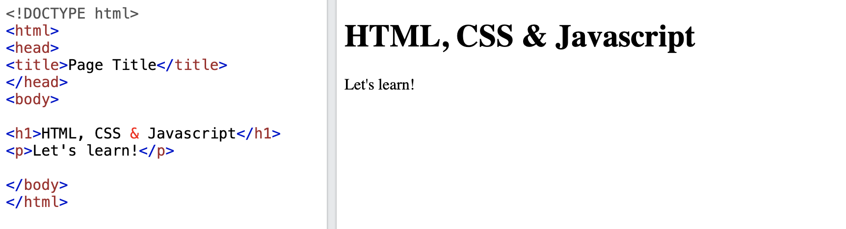 HTML CSS & Javascript in code